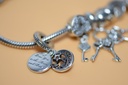 Pandora Bracelet 7.25"  7 Charms Strerling Silver - Love Theme in Boston