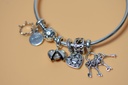 Pandora Bracelet 7.75" 5 Charms Strerling Silver - Queen & Family Theme in Boston