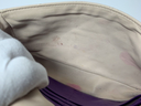 Dior Miss Dior Pink Lambskin Crossbody bag – photo-7