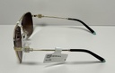 Tiffany & Co TF3080  60213B Pale Gold Brown Gradient  Sunglasses 3080 in Boston