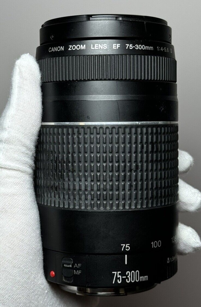 Canon EF 75-300mm f/1:4-5.6 III Zoom Lens #3