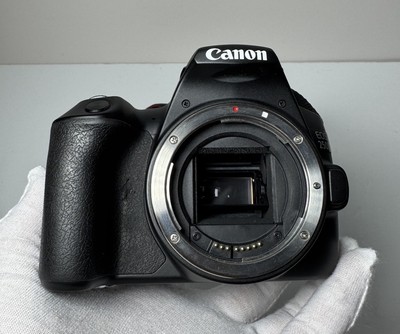 Canon EOS Rebel SL3 250D DSLR Camera (Body) Black #5
