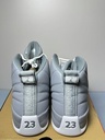 Nike Air Jordan 12 Retro Stealth MENS CT8013-015 US MEN'S  SIZE 12 price