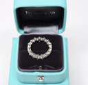 Tiffany & Co Aria Diamond Eternity Band Ring 18K Platinum w/ Box & Papers – photo-8