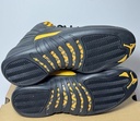 Air Jordan 12 Retro Black Taxi Men's CT8013-071 US MEN'S SIZE 11.5 -NIB price