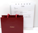 Cartier Lanières Earrings 18Kt Gold B8023100 – Full Set w/ Box & Service Docs in Boston, MA