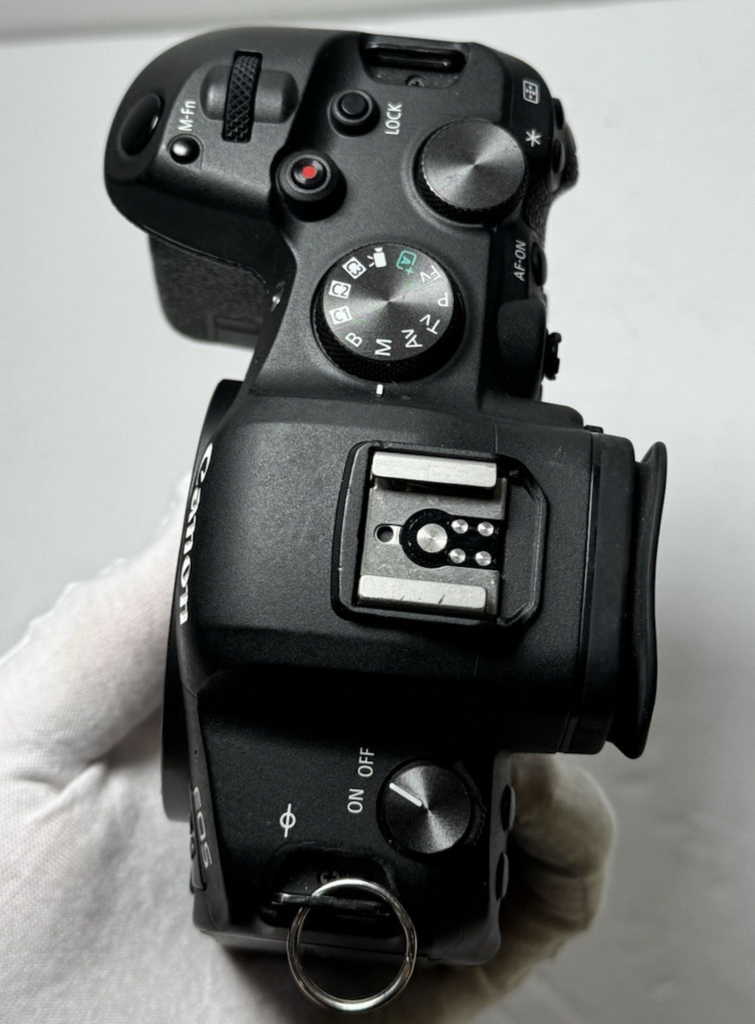 Canon EOS R6 MARK I 20.1MP 4K Full-Frame Mirrorless Digital Cam *Shutter 201696* #3