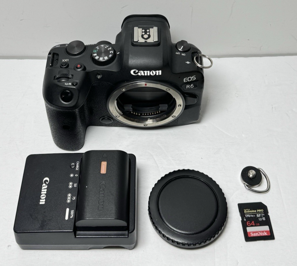 Canon EOS R6 MARK I 20.1MP 4K Full-Frame Mirrorless Digital Cam *Shutter 201696* #9