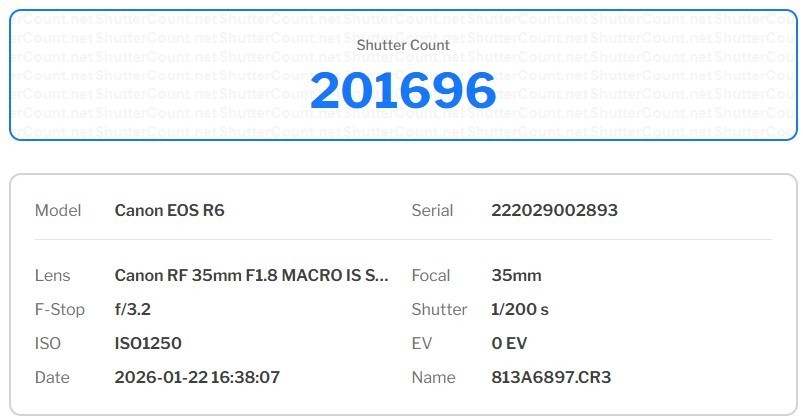 Canon EOS R6 MARK I 20.1MP 4K Full-Frame Mirrorless Digital Cam *Shutter 201696* #10