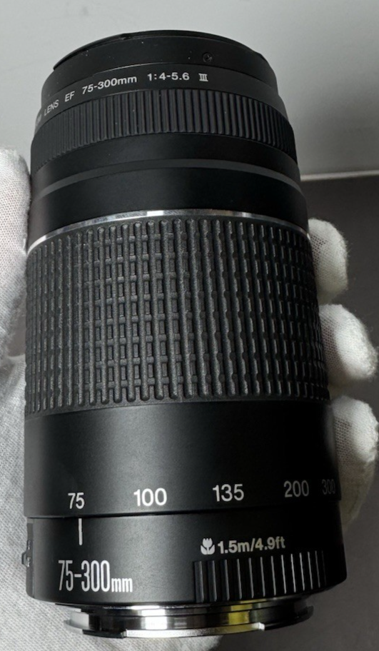 Canon EOS Rebel T7 24.1MP DSLR Camera Kit w/ 18-55mm & 75-300mm Lenses #9