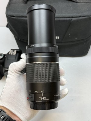 Canon EOS Rebel T7 24.1MP DSLR Camera Kit w/ 18-55mm & 75-300mm Lenses #10