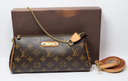 Louis Vuitton Eva Handbag Monogram Canvas used