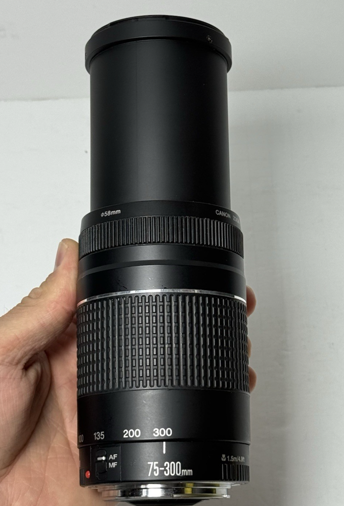 Canon EF 75-300mm f/4-5.6 III Telephoto Zoom Lens #4
