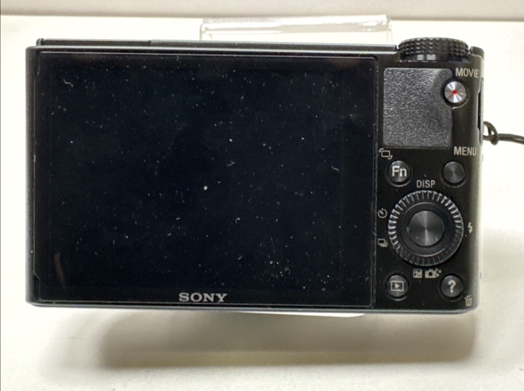 Sony DSC-RX100 20.2MP Advanced Camera W/ Case and Screen Protector #6