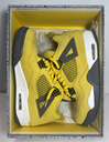 Air Jordan 4 Retro Mid Lightning CT8527-700 Men's US SIZE 11 in Boston