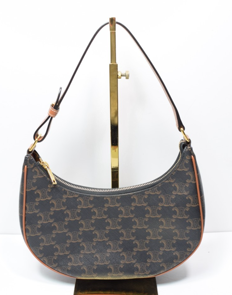 CELINE Ava Bag IN Triomphe Canvas and Calfskin