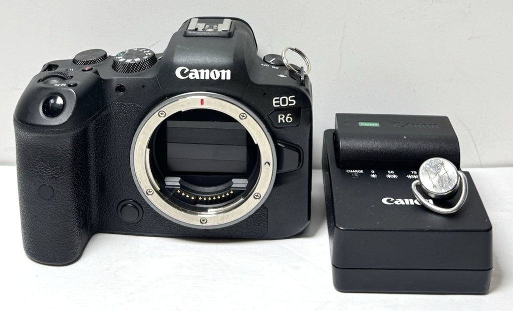 Canon EOS R6 MARK I 20.1MP 4K Full-Frame Mirrorless Digital Cam *Shutter 201696*