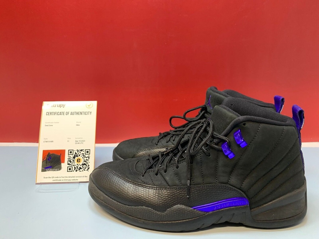 Nike Jordan 12 Retro Black Men's Size 11 CT8013-005 Preowned