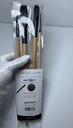 [4878-11 (4)] Princeton Catalyst Polytip Bristle Artist Brush For Acrylic & Oil 4pc Nextgen