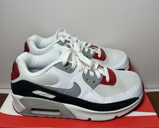 [7065-2] Nike Air Max 90 Photon Dust/Grey/Red Sneakers CD6864-019 Size 6.5 Y